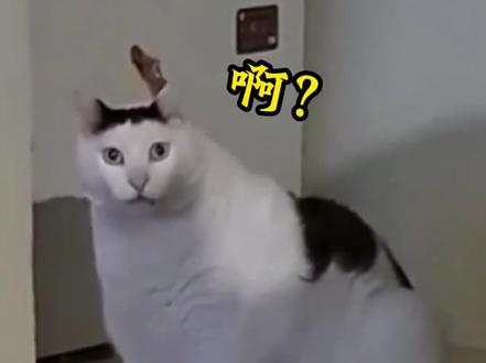 近现代时装根本不可能是代表中国的国服
#我要上热门🔥🔥