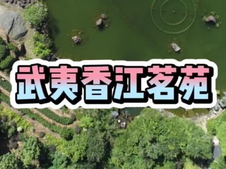 今天花9.9带你实地探一探武夷香江茗苑 #旅行推荐官 #茶文化 #抖音团购优惠 #武夷山旅游攻略 #建州姑娘