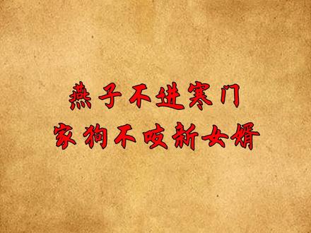 “燕子不进寒门,家狗不咬女婿”啥意思?动物也会看人下菜碟? #俗语 #人性 #动物 #燕子 #女婿 #家庭