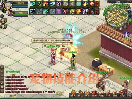 #游戏 #持续关注持续精彩 #游戏日常 宠物技能介绍篇