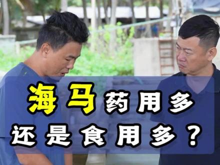 #海南你对海马了解多少呢?#海马养殖