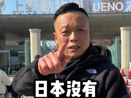 日本没有大熊猫了 东京上野公园的大熊猫都被送回中国了#日本熊猫#动物#上野动物园#熊猫回国#记录海外生活