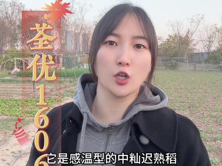 #水稻品种 #水稻 以下品种涵盖了不同生态区、不同种植需求和不同品质特点,农民可根据当地气候、土壤条件及市场需求选择适合2025年农村农业部发布的优良品种
推荐骨干型11个(晶两优534、野香优莉丝、荃优822、宜香优2115、黄华占、龙粳31、绥粳27、南粳9108、中嘉早17、中早39、晶两优华占 )
成长型13个(荃优1606、邦两优郁香、昌两优8号、玮两优8612、华浙优210、川优6203、南粳5718、吉粳830、臻两优8612、泰优808、玮两优7713、宁香粳9号、甬优1540。)
苗头型12个(筑优筑农丝苗、韶香100、格两优5117、昌盛优臻丝苗、圣稻259、中早83、荃优鄂丰丝苗、莲汇6612、邦两优香占、安两优2号、扬籼优4278、玮两优2268。)
特专型品种(3个)
箐两优3216:耐盐碱水稻品种,
旱优73:节水耐旱稻品种,
甬优4949:再生稻品种,#高产 #农业知识