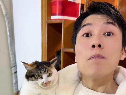 我试了猫咪打人一点都不痛 #记录猫咪日常 #三花猫