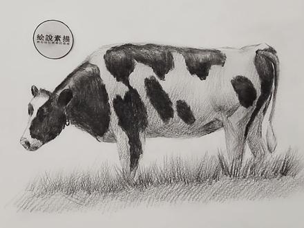 素描牛奶盒上的奶牛没了,你发现了吗#素描 #奶牛 #想画就画