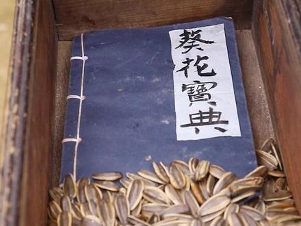 贵州小伙自制美食武侠片-凉拌折耳根 #武侠 #美食趣味计划