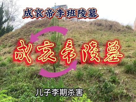 成汉古墓(成哀帝陵)华西医院内的帝王陵墓