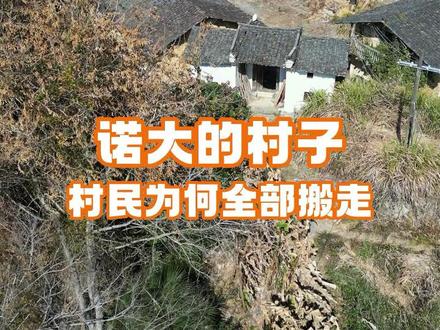 离公路只有几十米,山青水秀鸟语花香,村民为何都搬走了呢 #原生态村落 #阿付去哪里 #乡愁记忆