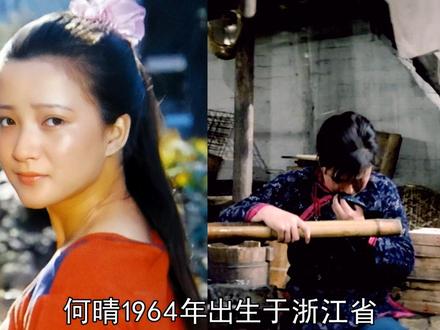 何晴,古典美女演遍四大名著影视剧,与许亚军有个儿子