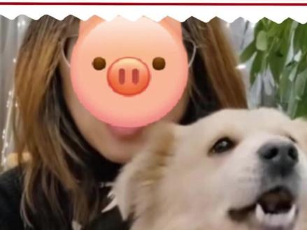 坏人绞尽脑汁不如蠢人灵机一动#南门涮肉 #万万没想到 #离谱 #抽象 #无语