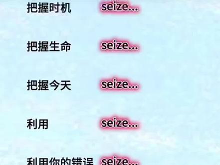 seize的相关用法~#英语学习#日常英语#实用英语