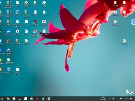 rost详细教学视频 #rost教学