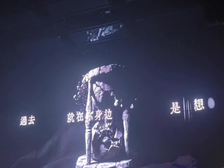 徐良演唱会328开场#