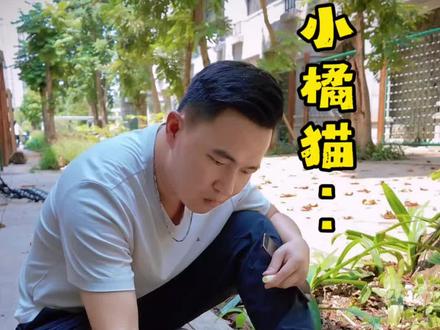 路边画的饼干被小橘猫发现了#绘画过程分享 #涂鸦 #墙绘 #治愈