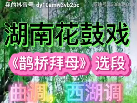 湖南花鼓戏巜鹊桥拜母》选段,西湖调,文君臣老师精彩唱段。