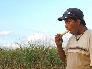 甘蔗怎么制糖?这个方法真厉害!用离心机脱水,白糖都藏在糖蜜里 #白糖 #甘蔗 #蔗糖 #科普