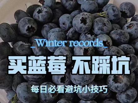 买蓝莓,不踩坑#水果避坑 #蓝莓避坑