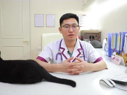 猫咪蹬后腿,跟着我了解更多主子的小秘密#宠物行为学#人人都是爱宠分享官 #科学养宠攻略 #萌宠出道计划 #萌宠 #猫 #动物成精 #猫