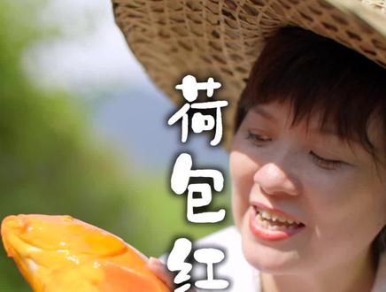 #荷包红鲤鱼 第二集:有怎样的口福才能吃到一条20多岁的吃稻谷长大的鱼呢? #邬小虹 #美食趣胃计划