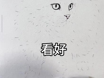 这期国画教学全是干货,让你分分钟学会! #国画 #小猫咪 #国画教学 #传统文化 #干货教学