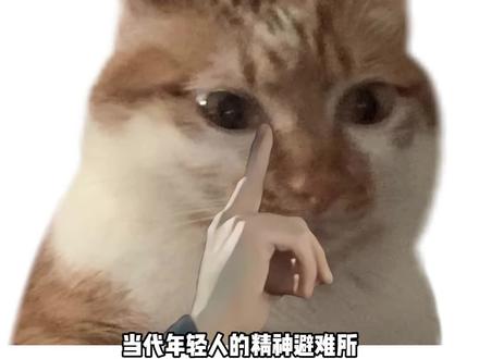 河头老街npc活人感我给到夯#娜塔莎#被河头老街npc的文化底蕴圈粉#雨坤儿@雨坤儿