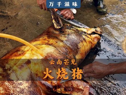 农家土猪用稻草烧后,肉是生的,猪皮却可以直接吃,这是火烧猪Z精华的部分。#火烧猪 #生皮 #云南美食