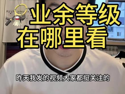业余球友等级划分标准,仅供参考哦~#羽毛球 #一起打羽毛球 #羽球人 #羽毛球等级