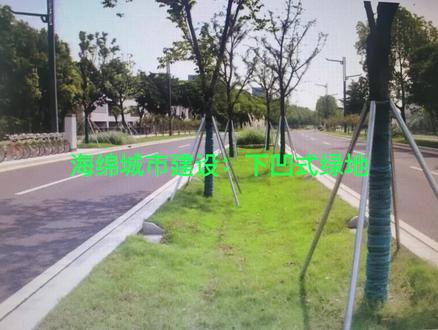 海绵城市建设:下凹式绿地案例介绍 #海绵城市 #下凹式绿地 #节