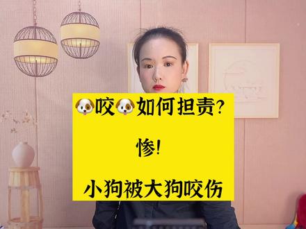 小🐶被大🐶咬伤谁来担责?#法律