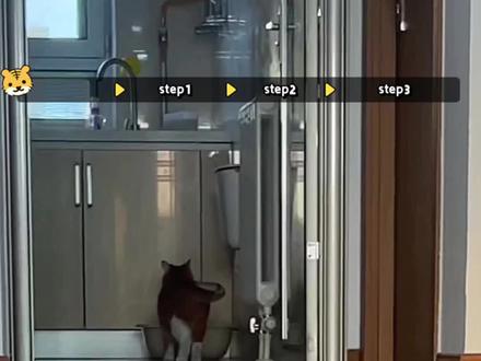 第4集 神奇猫法 | 召唤术!教猫快速认自己的名字,随叫随到 #猫咪名字 #养猫进阶指南