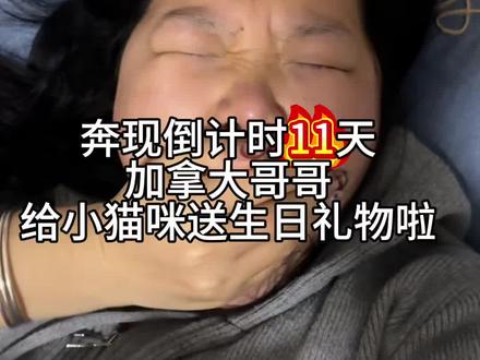 喵 加拿大哥哥给小猫咪过的第一个生日~ #网恋 #奔现 #日常vlog #日常分享