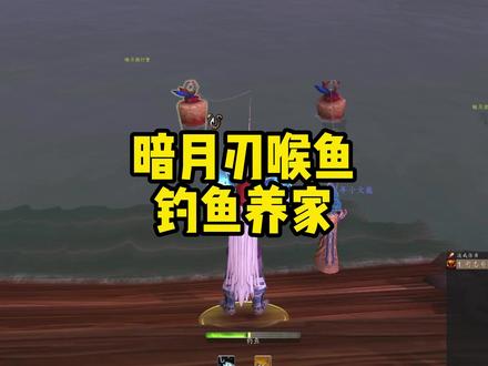 魔兽正式服钓鱼养家,暗月刃喉鱼轻松换时光! #魔兽世界勇士集结