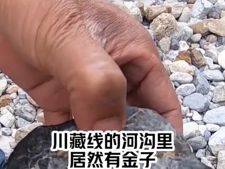 震惊:川藏线河沟发现黄金。 视频来源 #西瓜创作人:大橘去哪了 #旅行