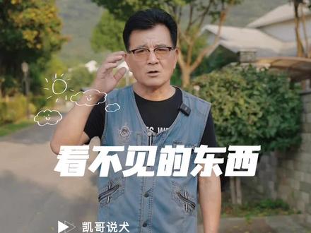 狗狗为什么会突然对着空气叫?#知识创作人 #宠物知识 #狗狗 #铲屎官 #训犬