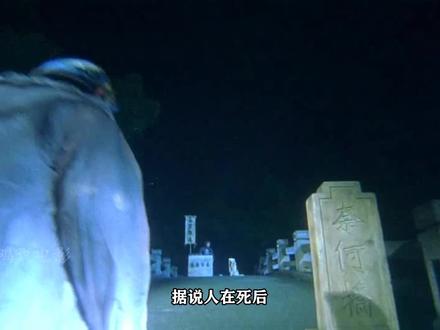 男人去地府投胎,孟婆把住奈何桥,经过的人和狗都得喝汤 #老电影 #影视解说