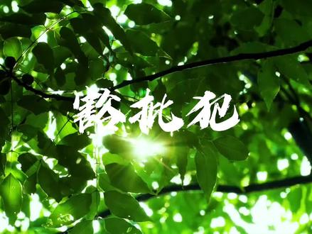 你身边的豁批犯多吗?#云贵川 #重庆 #云贵川渝 #贵州 #云南
