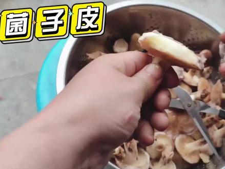 今天搞了点需要剥皮的蘑菇菌子,处理起来有点麻烦 #在家做美食 #蘑菇 #乡村守护人 #100个真实农村故事