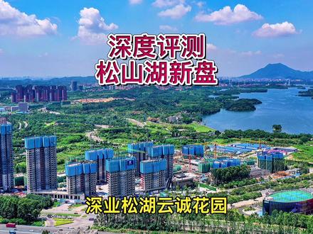 深度评测#松山湖新盘 #深业松湖云诚花园 比#中海松湖林语 如何? @DOU+小助手