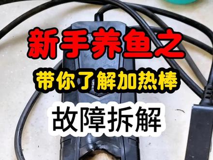 鱼缸加热棒 有谁没用过这个品牌加热棒请举手👋#鱼缸加热棒#鱼缸加热棒故障码#创作灵感 #鱼缸加热棒故障码