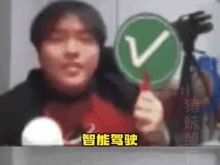 智能驾驶届最权威的严父!#问界新m7 #智能驾驶 #万万没想到 #事故