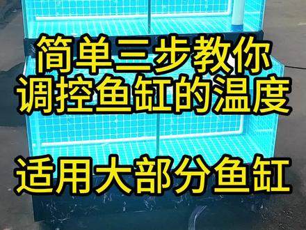 简单三步教你调控海鲜鱼缸的温度,适用大部分海鲜鱼缸调节水温!#海鲜池 #鱼缸 #海鲜鱼缸 #海鲜水产 #海鲜鱼缸商用