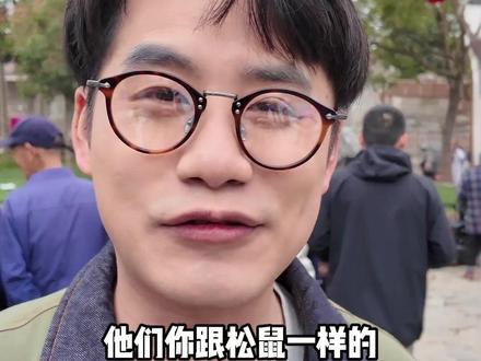 湾沚百家宴 这个流水席 太绝了 🤤🤤🤤#寻味烟火气 #民俗文化展示 #地方美食 #芜湖美食 #青丝丝滴开搞哎