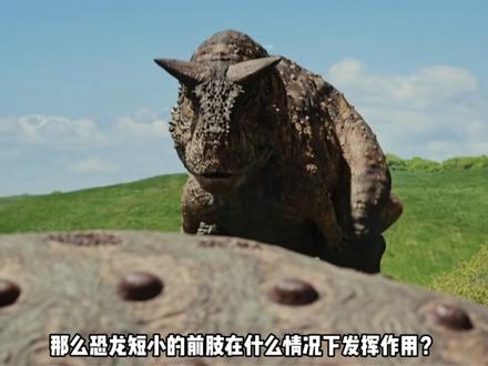 恐龙的小短手是干嘛用的? #恐龙 #知识科普