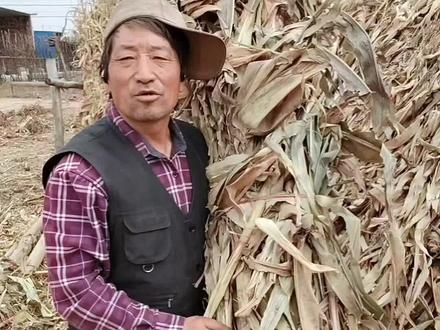 勤劳致富靠双手😂😂#幽默段子 #看一遍笑一遍 #勤劳