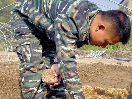 玉米芯种植平菇(冬菌)的另外一种方法来了!农村不要的玉米芯玉米杆不要扔,它可以变废为宝,种出好看又好吃的平菇(冬菌),让你整个冬季都有菌子下火锅!#我的乡村生活 #乡村振兴dou行动 #返乡创业新农人 #玉米芯种蘑菇 #玉米芯种植平菇