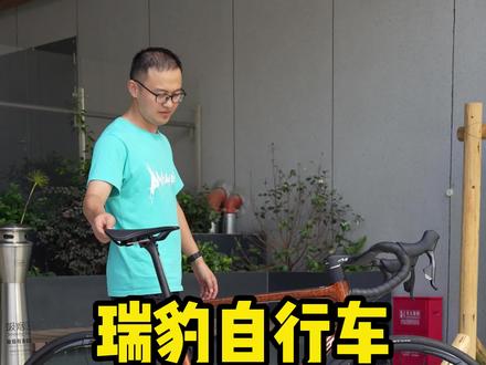 瑞豹自行车新款ROBIN RS 冰裂纹 速联电子变速 #瑞豹自行车 #风向彪单车