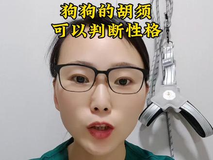 你家狗狗有几根胡须#养狗经验分享 #养狗