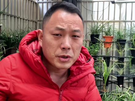 第三集,生松树皮养兰有哪些问题,聊一聊#兰花 #兰花种植 #传播兰花知识 #兰花爱好 #兰花小知识 #春兰 #兰花植料 #兰花管理