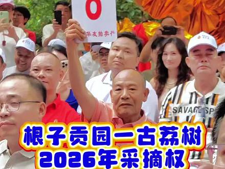 根子贡园千手观音古荔树2026年采摘权拍出168万元#高州 #高州荔枝 #现场实拍 #高州大众 #古荔树千手观音