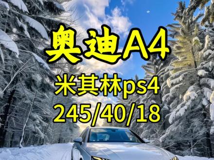 奥迪A4轮胎推荐,米其林PS4。#真实生活分享计划 #轮胎 #南宁 #撸车日常 #汽车知识